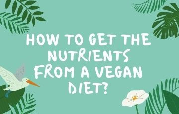 How to get the nutrients from a vegan diet?