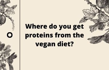 Where do you get proteins from the vegan diet?