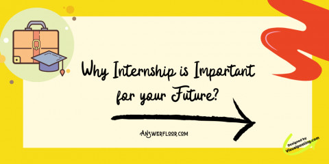 Why Internship is Important for your Future?