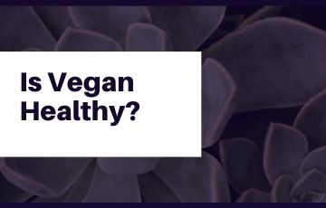 Is Vegan Healthy?