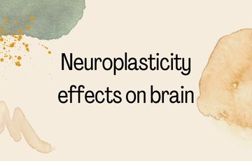 Neuroplasticity effects on brain